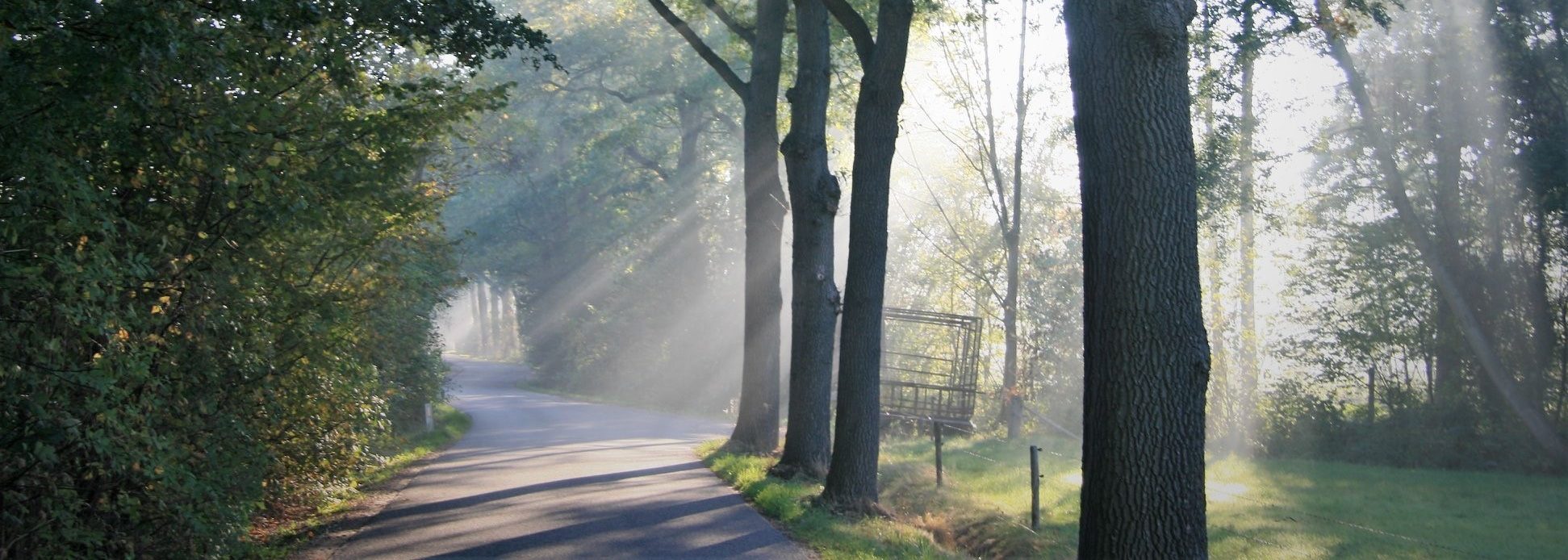 route59